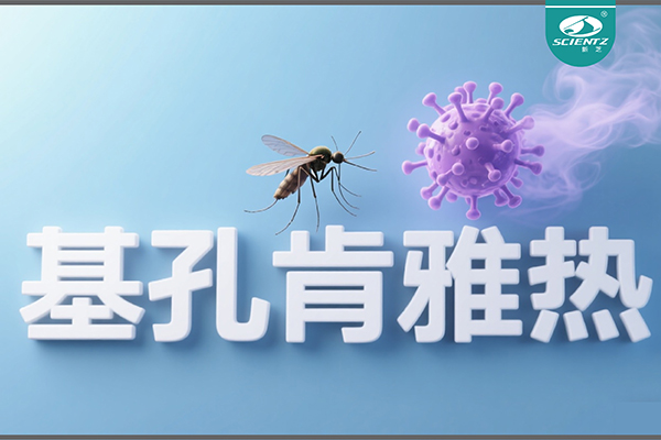 基孔肯雅熱疫情升級(jí)！新芝生物硬核技術(shù)助力病毒精準(zhǔn)診斷