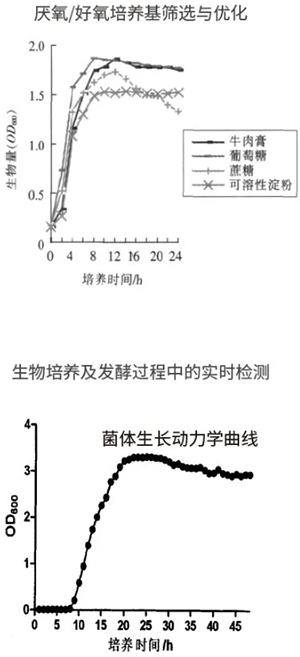 過(guò)程安全，結(jié)果精準(zhǔn)